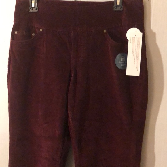 COPY - NWT Jag wine high waisted straight leg pants # 10P - Picture 2 of 8